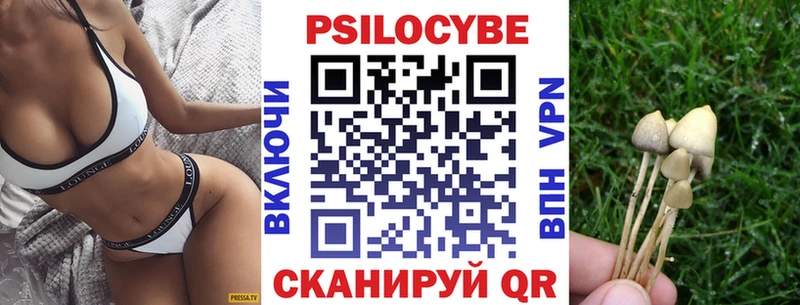 Псилоцибиновые грибы Magic Shrooms  Тольятти 