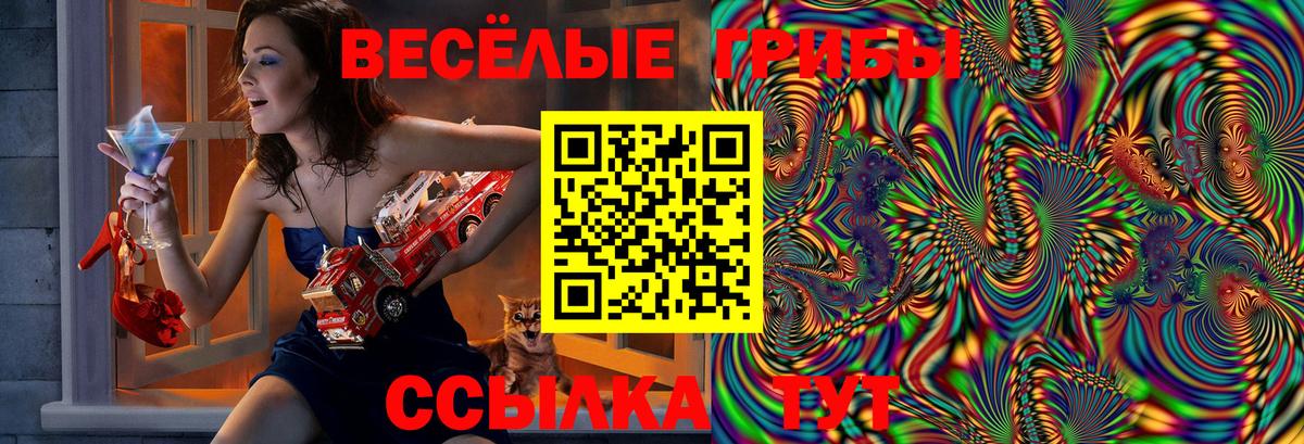 Галлюциногенные грибы Cubensis Тольятти