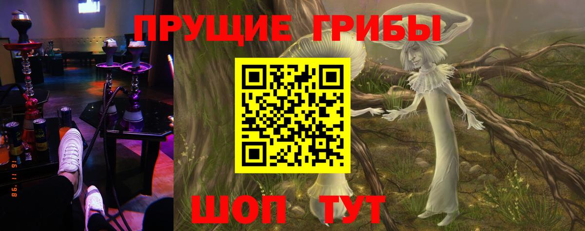 Галлюциногенные грибы мухоморы  Вход с VPN  купить наркотики цена  Псилоцибиновые грибы Magic Shrooms  Тольятти 